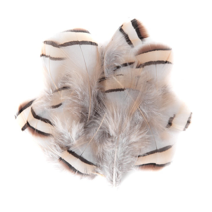 pene decorative de fazan deschise 15 buc ro dpccepi 106