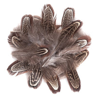pene decorative de fazan inchise 15 buc ro dpccepi 105