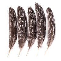 pene decorative de fazan mari 5 buc ro dpccepi 107