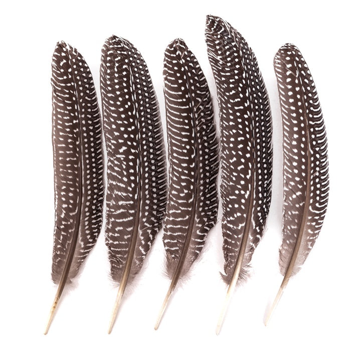 pene decorative de fazan mari 5 buc ro dpccepi 107
