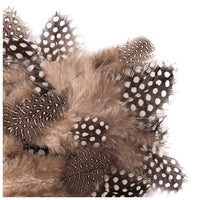 pene naturale de prepelita 5 12 cm 5 g ro dpccepi 104