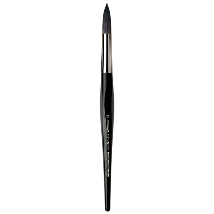 pensula pentru pictat da vinci casaneo 5598 ro dvc5598