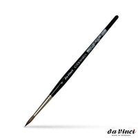 pensula pentru pictat da vinci casaneo 5598 ro dvc5598