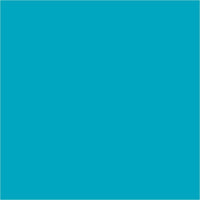 pigmenti lichizi pentart 10 ml ro pntds10