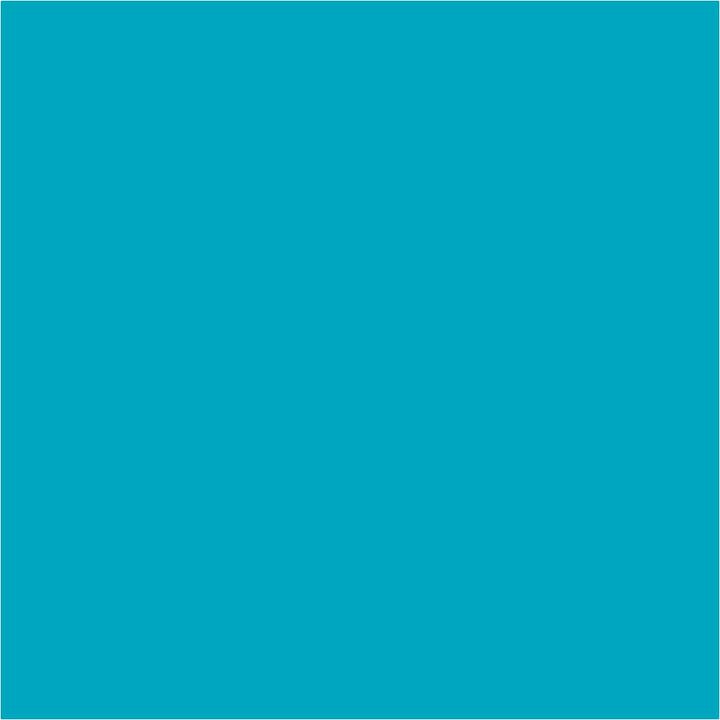 pigmenti lichizi pentart 10 ml ro pntds10