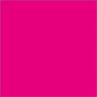 pigmenti lichizi pentart 10 ml ro pntds10