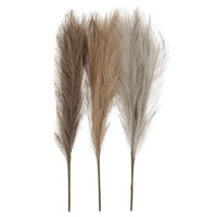planta artificiala iarba decorativa pampas ro cch5020
