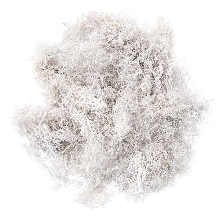 Briofitele ren naturale 30g