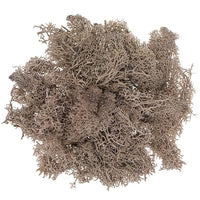 Briofitele ren naturale 30g – maro