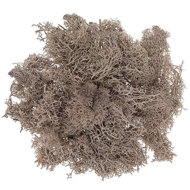 Briofitele ren naturale 30g