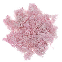Briofitele ren naturale 30g – roză