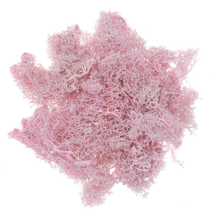 Briofitele ren naturale 30g