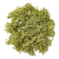 Briofitele ren naturale 30g – Verde deschis