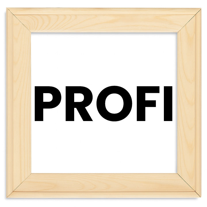 profi pictura panza cadru ro myhlp