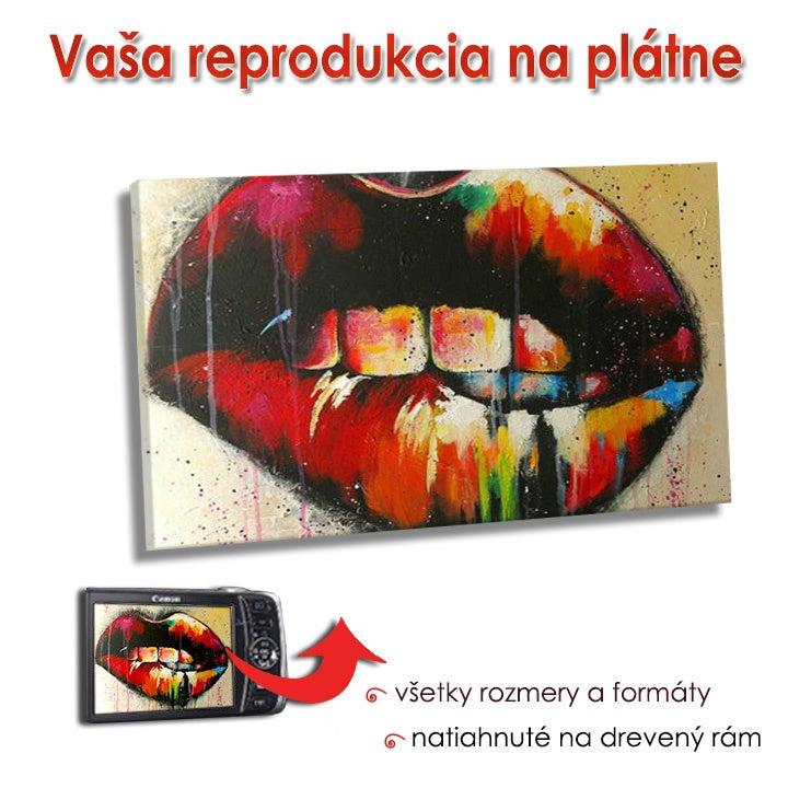 reproducere pe panza obdl nik ro xobrfotoo
