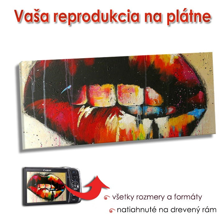 reproducere pe panza panorama ro xobrfotop