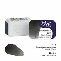 Vopsele de acuarelă Rosa Gallery pan 2.5 ml – Black Grape panvička