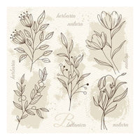 servetele bej flower illustration decoupage ro mxhsdog040001