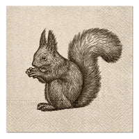 servetele ecologice pentru decoupage squirrel 1 piesa ro mxhsdle016300