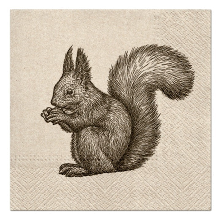 servetele ecologice pentru decoupage squirrel 1 piesa ro mxhsdle016300