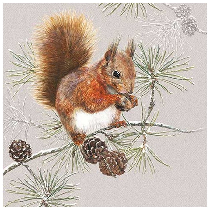 servetele ecologice pentru decoupage squirrel in winter 1 piesa ro mxh33313445