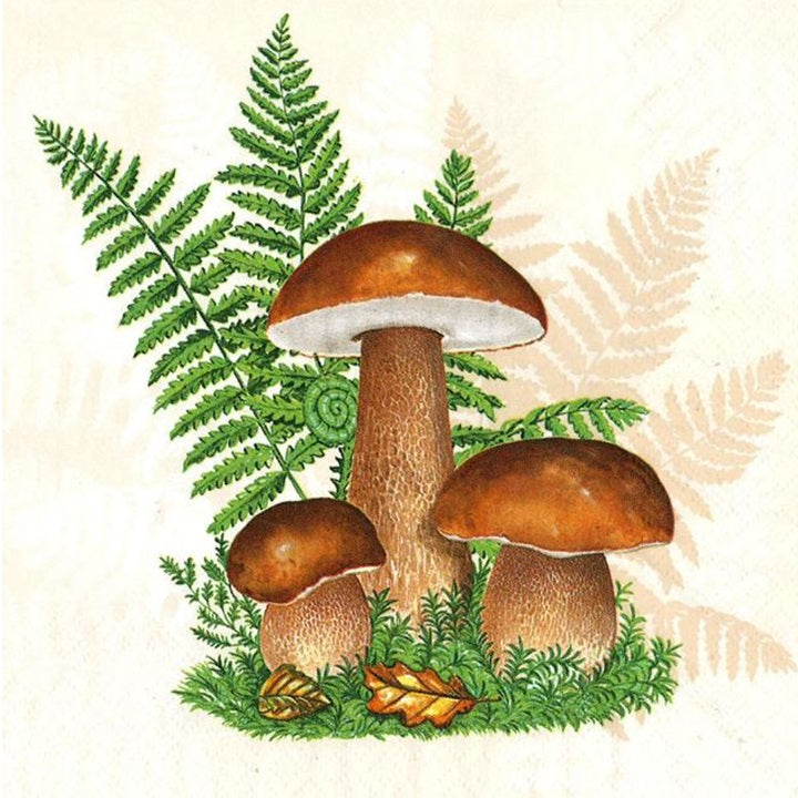 servetele pentru decoupage boletus with leaves of fern 1 buc ro mxhslog047101