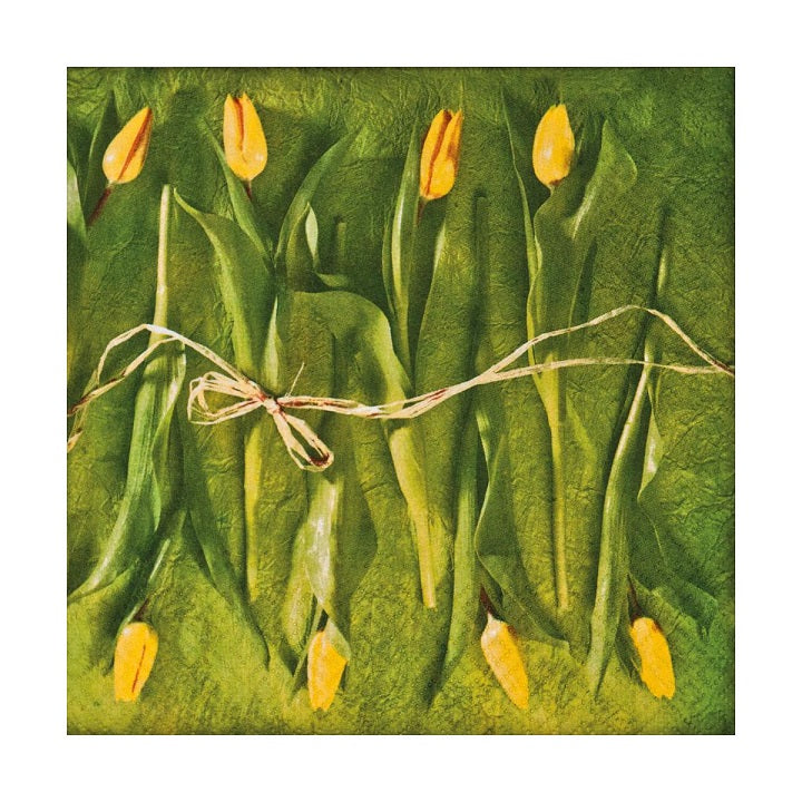servetele pentru decoupage fresh tulips 1 buc ro mxh228300