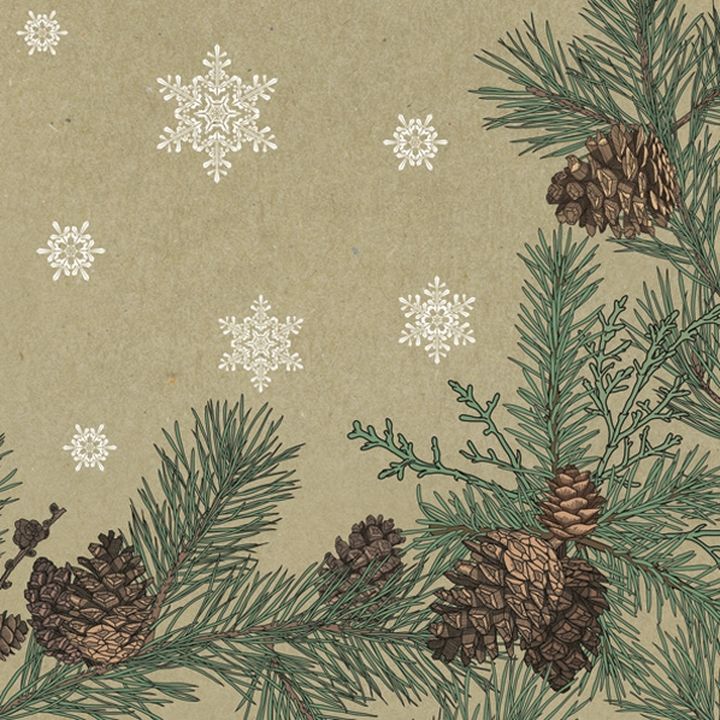 servetele pentru decoupage graphic pines and twigs frame on kraft 1 buc ro mxhsdgw019501