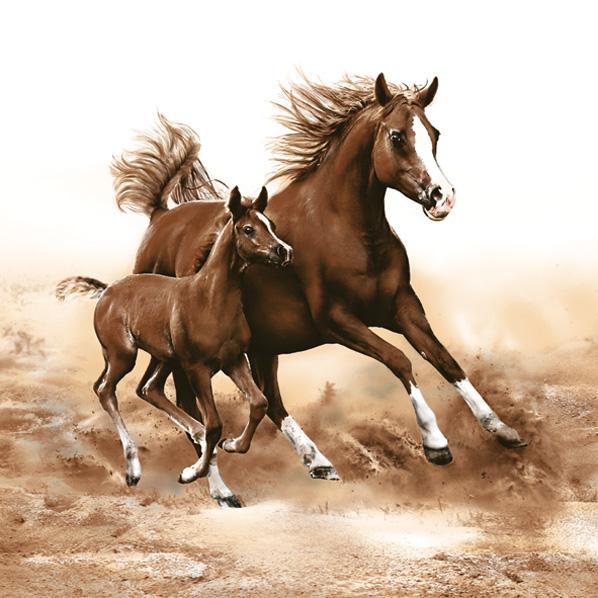 servetele pentru decoupage horses 1 buc ro mxhslog032801