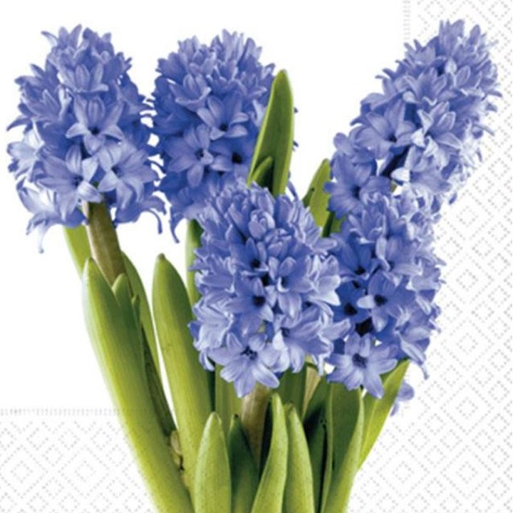 servetele pentru decoupage hyacinths 1 piesa ro mxhln0715