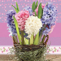 servetele pentru decoupage hyacinths in a basket 1 piesa ro mxhslwi005201