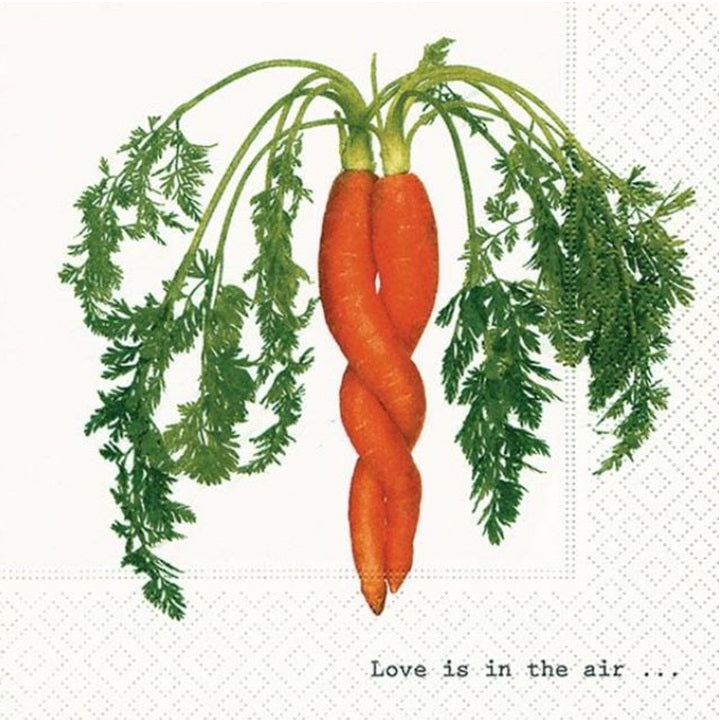servetele pentru decoupage interwined carrot 1 buc ro mxh21863