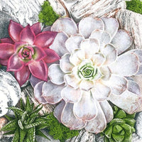 servetele pentru decoupage plants and stones composition 1 buc ro mxhslog048801