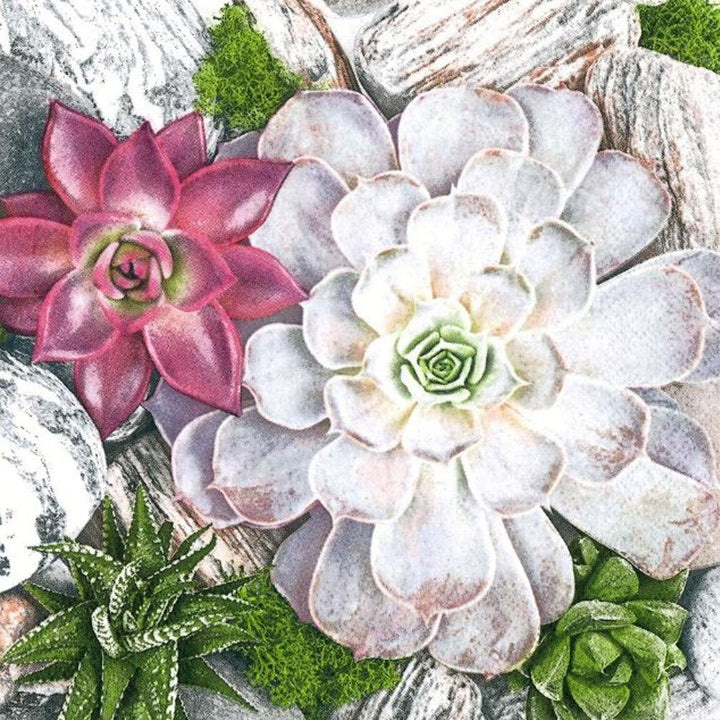 servetele pentru decoupage plants and stones composition 1 buc ro mxhslog048801