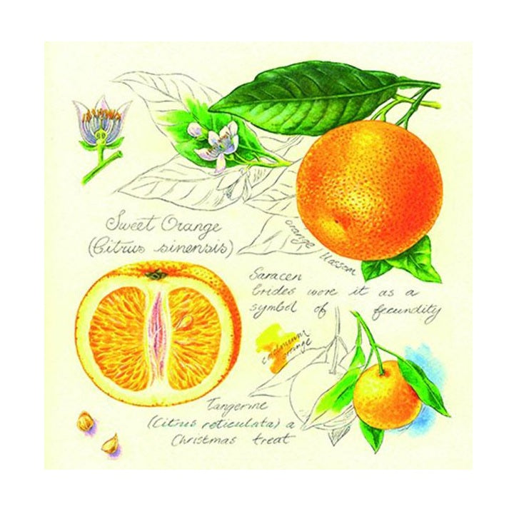 servetele pentru decoupage portocale 1 produs ro mxhsdl993000