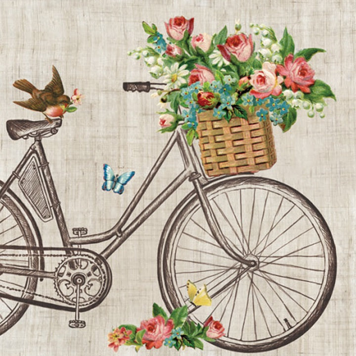 servetele pentru decoupage robin on bike 1 buc ro hbb13308975