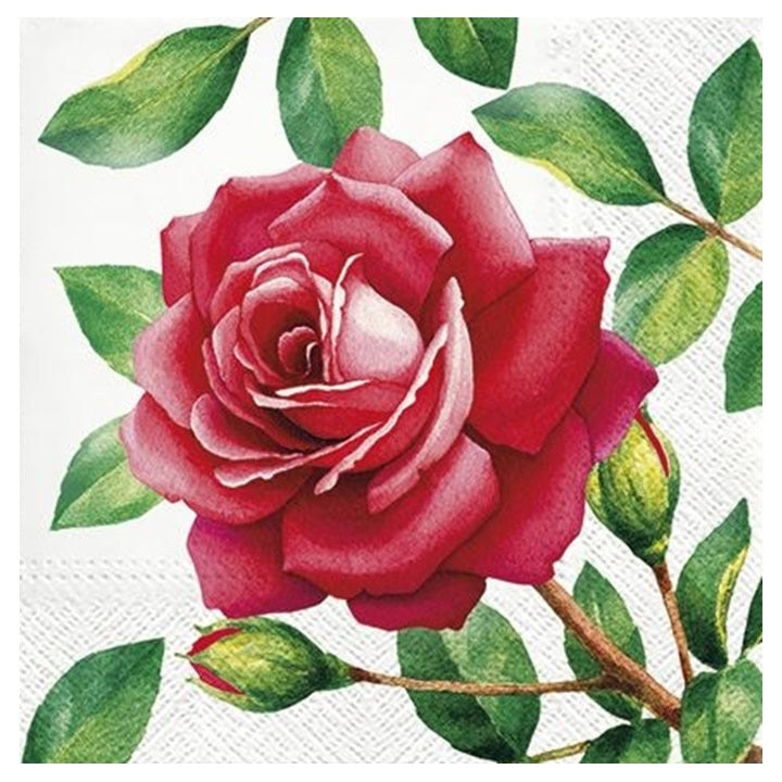 servetele pentru decoupage special rose 1 piesa ro mxhtl700600