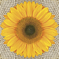 servetele pentru decoupage sunflower on seeds 1 buc ro mxhsdog031001