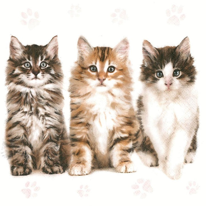 servetele pentru decoupage tree beautiful cats 1 buc ro mxhslog047201