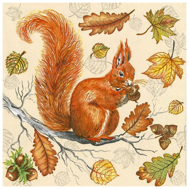 servetele pentru decoupage veverita 1 buc ro mxhslog038901
