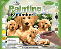 set creativ pentru pictura a3 catelusi ro rlgpjl12