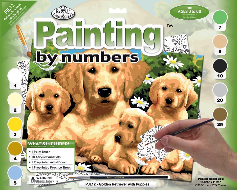 set creativ pentru pictura a3 catelusi ro rlgpjl12