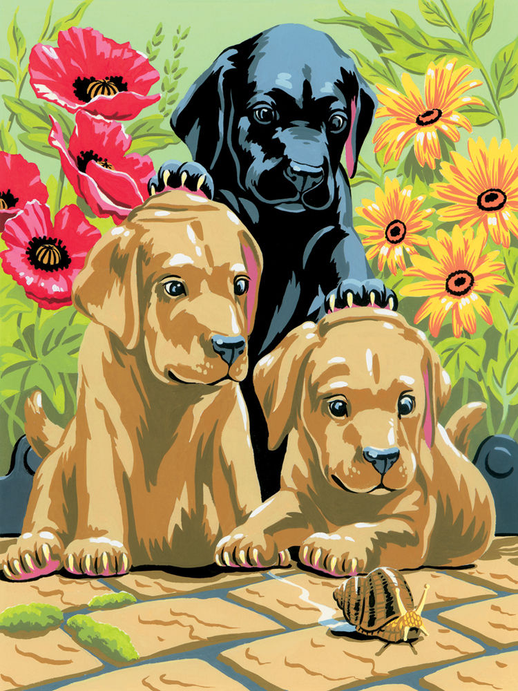 set creativ pentru pictura a4 catelusi labrador ro rlgpjs30 3t