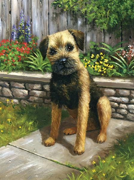set creativ pentru pictura caine ro rlgpjs 61