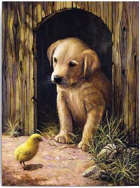set creativ pentru pictura labrador catelus ro rlgpjs 50