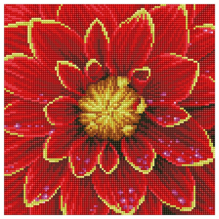 set cu margele diamond painting dahlia 30 5 x 30 5 ro cch74922