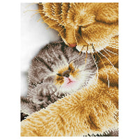 set cu margele diamond painting moment delicat 30 x 41 ro cch74926