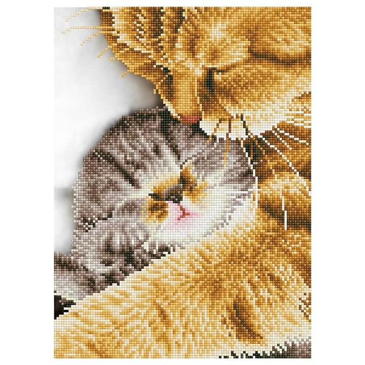 set cu margele diamond painting moment delicat 30 x 41 ro cch74926