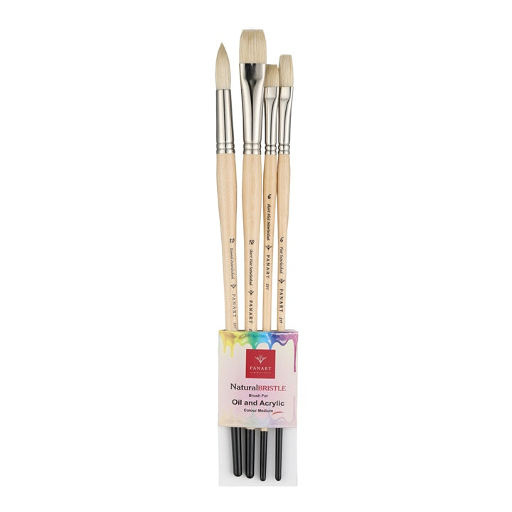set de pensule profesionale panart 4 buc ro pnratl 10