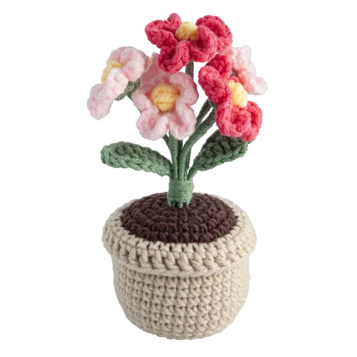 set diy croșetat ghiveci cu flori roz